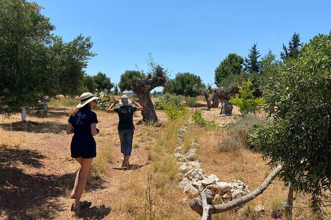 Private Tour: Discover the Secret World of Olives in Afantou - Authentic Insights from Past Visitors