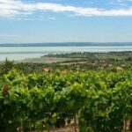 Private tour from Budapest to a top hidden treasure region of Europe: Lake Balaton - Price & Value Analysis