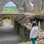 Private Tour from Dublin: Hill of Tara Trim Castle, Celtic sites - Who Will Love This Tour?