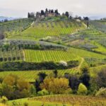Private tour from Florence to Cortona and Arezzo - FAQ