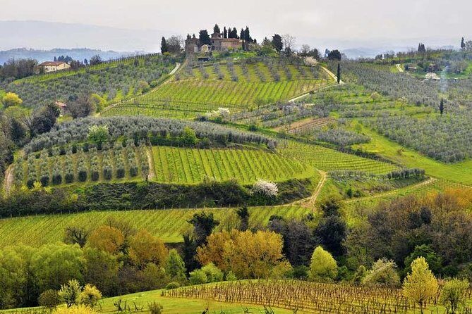 Private tour from Florence to Cortona and Arezzo - FAQ