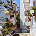 Private tour from Motril to Nerja and the Nerja caves for up to 8 persons - Final Thoughts