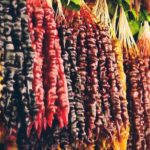 Private Tour From Tbilisi to Kakheti Sighnaghi with Wine Tasting - Analyzing the Value