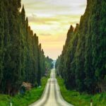 Private Tour from the Port of Livorno to Bolgheri - An in-depth look at the experience