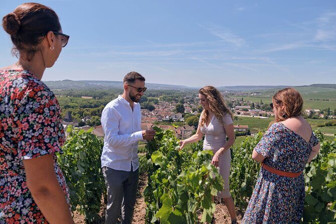 Private tour: Full Day Veuve Clicquot to Reims or Epernay region - The Practical Side: Costs, Transport, and Logistics