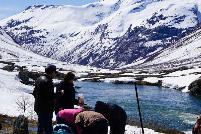 Private tour Geiranger and Glaciers 1 to 15 people - Exploring Norway’s Majestic Landscapes: What to Expect