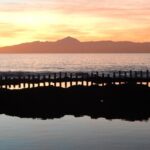 Private Tour Guide in Gran Canaria - Why This Tour Offers Real Value