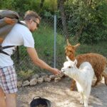 Private Tour - Hike and wine tasting at the Penedés - Who Will Love This Tour?
