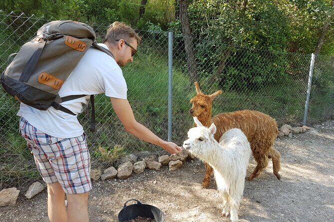 Private Tour - Hike and wine tasting at the Penedés - Who Will Love This Tour?