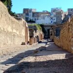 Private Tour in Herculaneum with an authorized guide - Who Will Love This Tour?