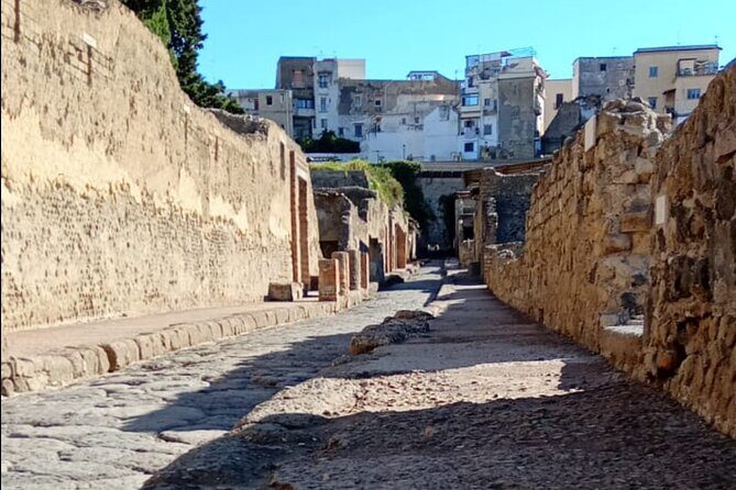 Private Tour in Herculaneum with an authorized guide - Who Will Love This Tour?