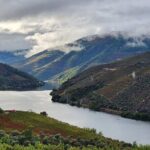 Private Tour in the Douro with Family Vineyards and Miradouro - Authenticity and Reviews