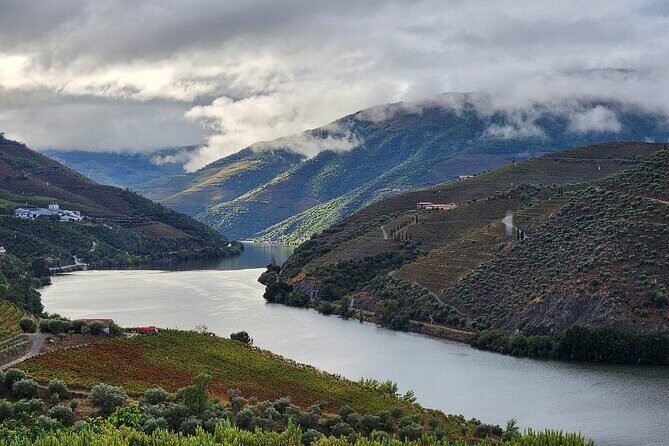 Private Tour in the Douro with Family Vineyards and Miradouro - Authenticity and Reviews