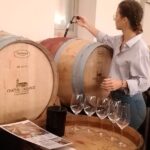 Private tour in the prestigious Médoc wine region - Practical Details and Considerations
