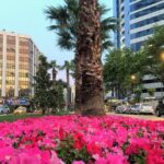 Private Tour in zmir - Who Should Book This Tour?