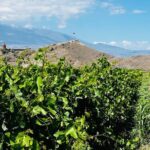 Private Tour: Khor Virap-Garni-Geghard - Who Should Consider This Tour?