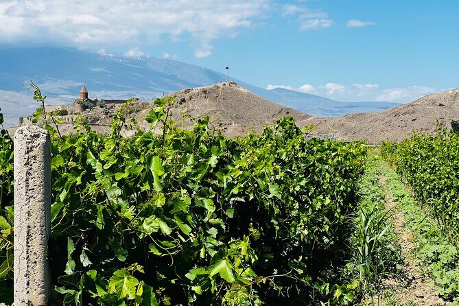 Private Tour: Khor Virap-Garni-Geghard - Who Should Consider This Tour?