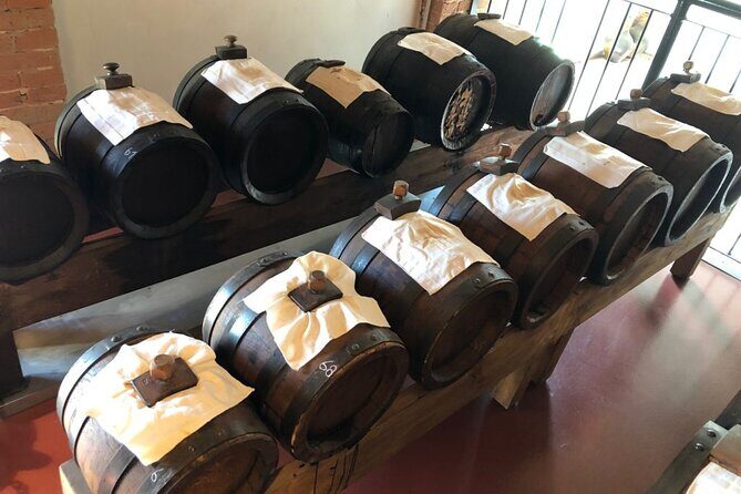 Private Tour of a traditional Acetaia, Modena tastes, and its UNESCO heritage - A Deep Dive into the Modena Experience