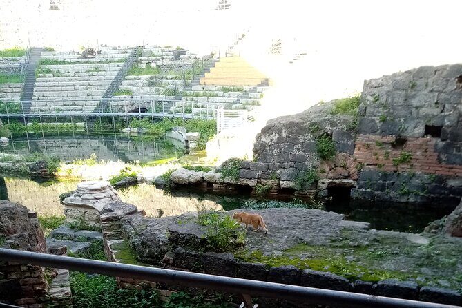 Private tour of Catania and the Riviera of the Cyclops - Authentic Experiences and Insights from Past Travelers