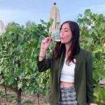 Private Tour Of Chianti with Wine Tastings - Authentic Insights from Travelers