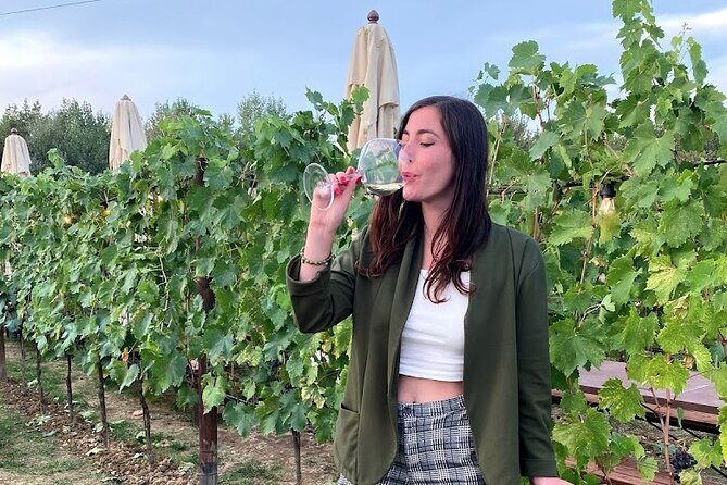 Private Tour Of Chianti with Wine Tastings - Authentic Insights from Travelers