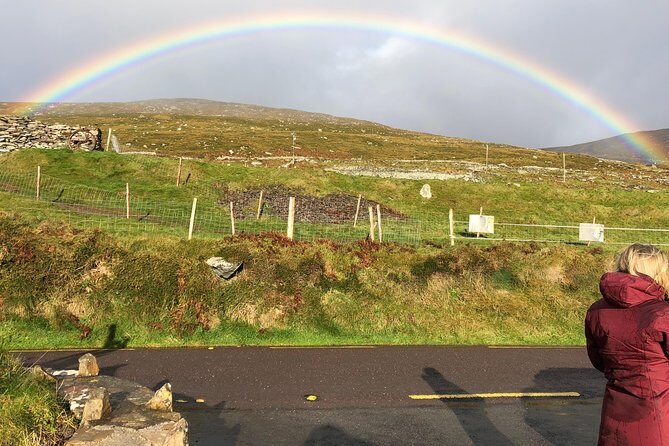 Private Tour of Dingle Peninsula from Killarney - The Sum Up