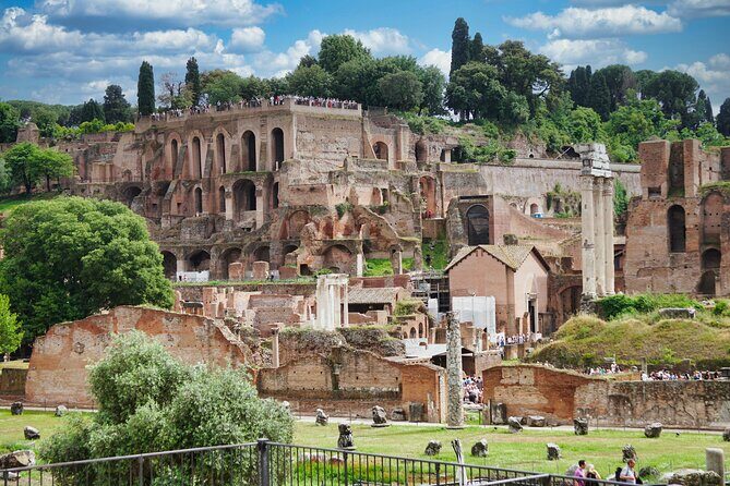Private Tour of Domus Tiberiana and Ancient Rome - The Value and Practical Considerations