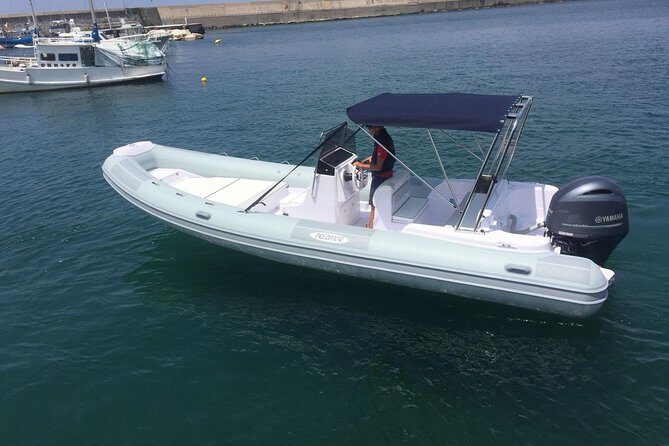 Private Tour of Ischia on Gozzo Fratelli Aprea 750 Open Cruise - What Travelers Say