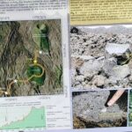 Private tour of Mount Etna and the Alcantara Gorges - Why This Tour Works for Different Travelers