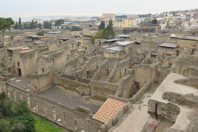 Private Tour of Pompeii, Herculaneum and Vesuvius from Naples - Practical Details and Tips