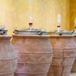Private tour of Pompeii Ruins + Organic Wine and Lunch tasting - Exploring Pompeii: More Than Just Ruins