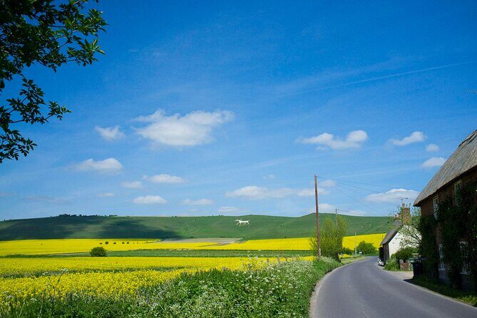 Private Tour of Quintessential Wiltshire and Cotswold Villages - Who Is This Tour Perfect For?