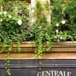 Private Tour of Saint Germain des Pres - An In-Depth Look at the Saint Germain des Prés Tour