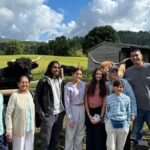 Private Tour of Scottish Highlands, Loch Lomond and castles - What Makes This Tour Stand Out?