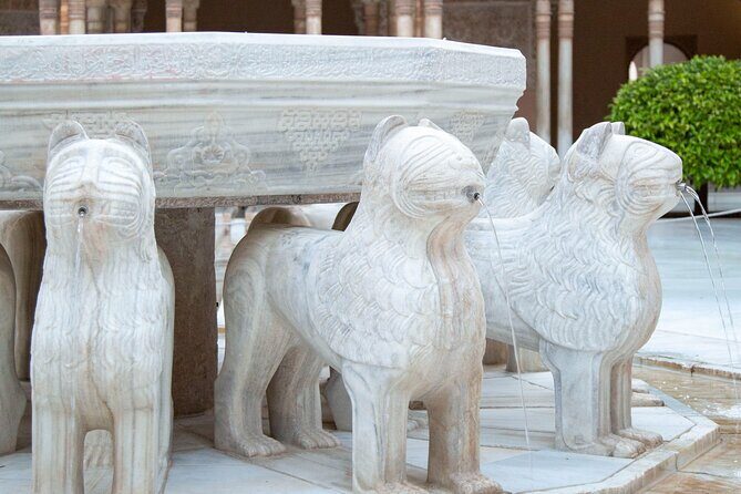 Private Tour of the Alhambra of Granada - Authentic Insights from Reviewers