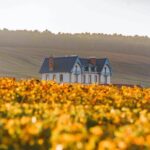 Private tour of the Champagne area, meet local producers and taste their Champagne, start from your hotel in Paris. - FAQs