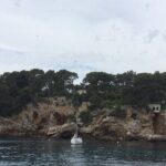 Private Tour of the French Riviera from Cannes Including Eze, Monaco, Cannes, and Saint-Paul-de-Vence - Transport and Comfort