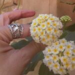 Private tour Palace of Dueñas - Practical Tips for Your Visit