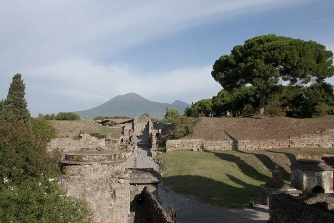 Private tour Pompeii Vesuvius and Winery from Sorrento - Final Thoughts