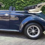 Private Tour: Regional Road Drive with Stunning Views and Poncha Drink Tasting - The Sum Up: Who Should Book This Tour?