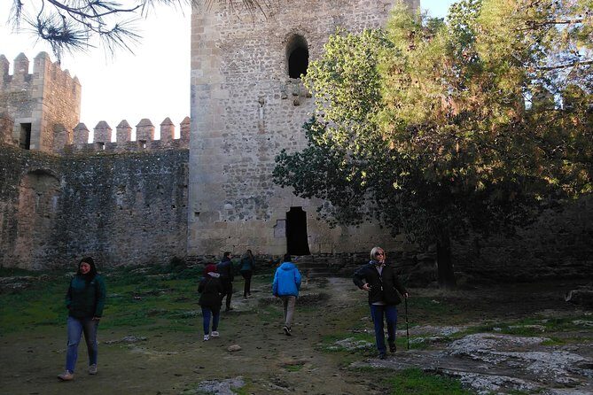 Private Tour Ronda and White Villages from Seville - Transportation & Comfort