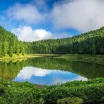 Private Tour: Sete Cidades, Lagoa do Fogo, Pineapple Plantation - Who Is This Tour Best For?