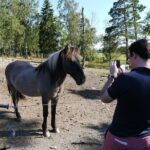 Private Tour: Swedish History Day Trip to World Heritage Candidate Markim-Orkesta from Stockholm - Final Thoughts: Who Will Love This Tour?