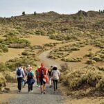 PRIVATE TOUR Teide National Park: Hiking and Stargazing - An In-Depth Look at the Teide National Park Hiking and Stargazing Tour
