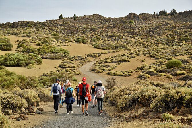 PRIVATE TOUR Teide National Park: Hiking and Stargazing - An In-Depth Look at the Teide National Park Hiking and Stargazing Tour