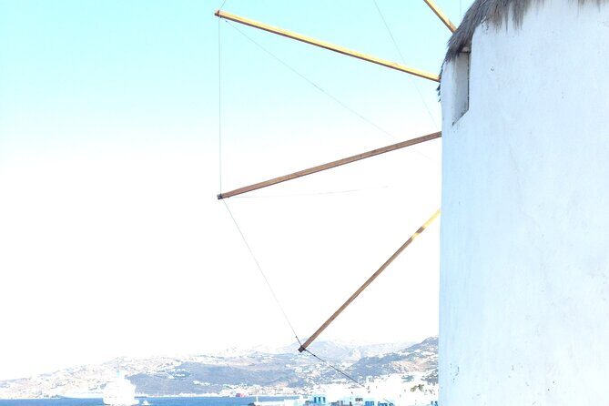 Private Tour: The Best of Mykonos (no walking) - Who Is This Tour Best For?