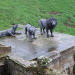 Private Tour: The Iconic Tower of London - Price and Value