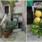 Private Tour: The Path of the Lemons - The Route and What to Expect