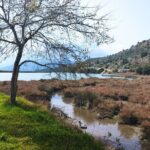 Private tour to Albania from Corfu - Who Is This Tour Best For?