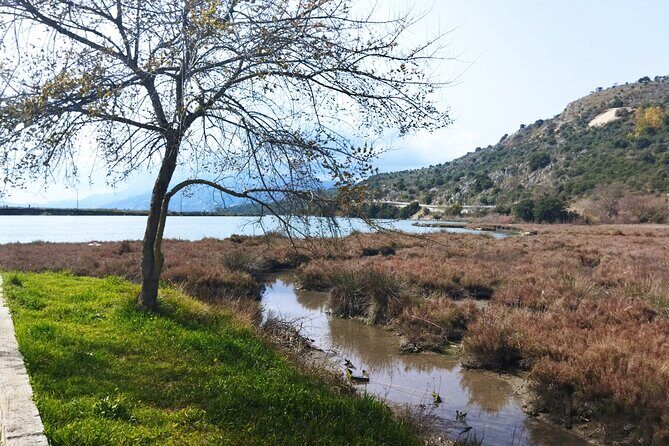 Private tour to Albania from Corfu - Who Is This Tour Best For?